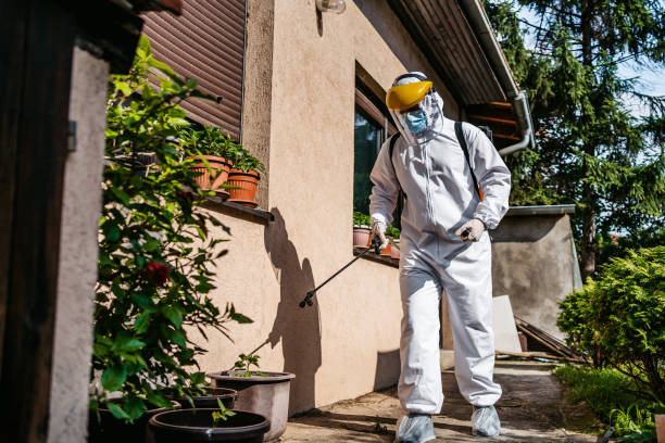 Best Commercial Pest Control Services  in Maeser, UT