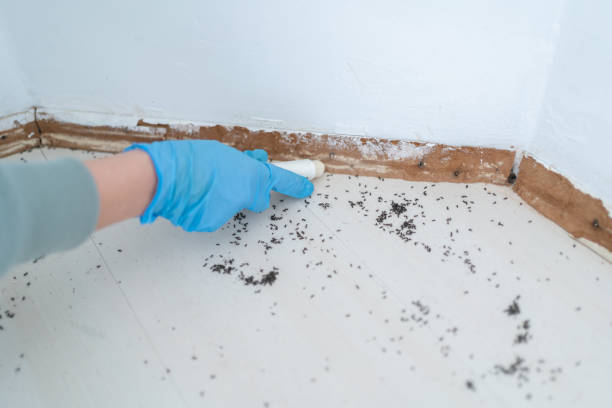 Best Pest Inspection Near Me  in Maeser, UT